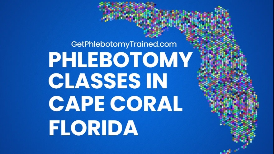 Phlebotomy School In Cape Coral FL