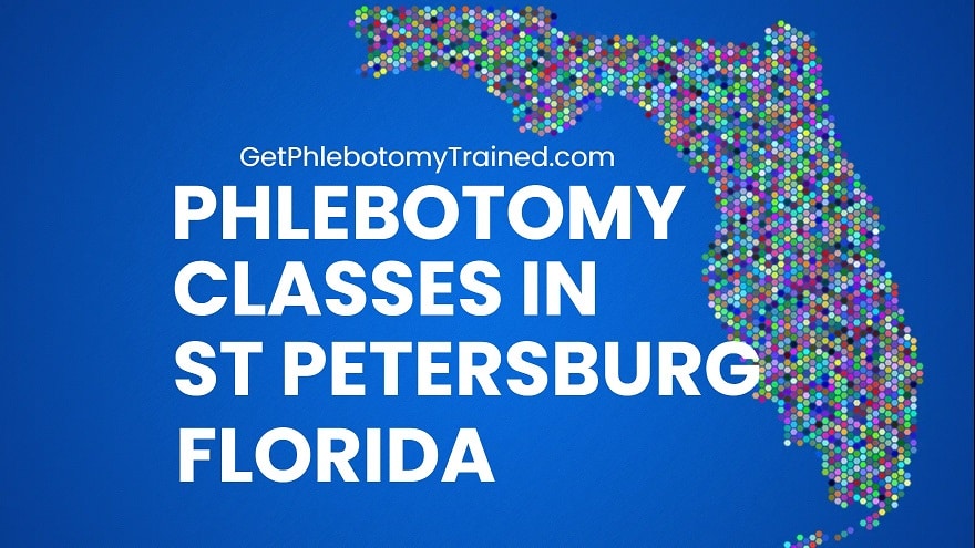 phlebotomy training in st petersburg florida